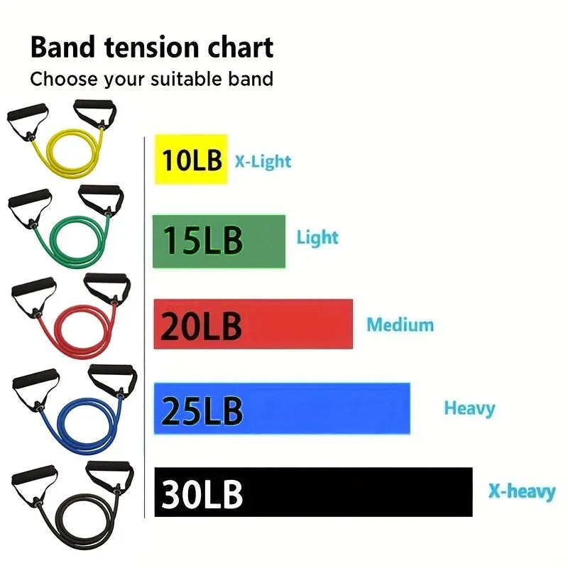 Bandas Elásticas con Asas – Entrenamiento de Fuerza en Casa